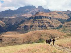 Heading back to Monk's Cowl